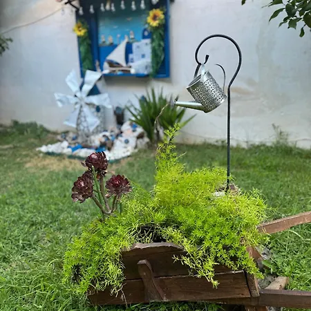 Apartment Garden House - *